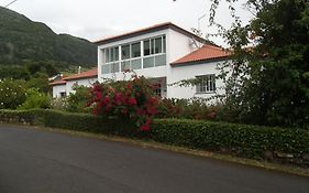 Tropical Fruit Garden